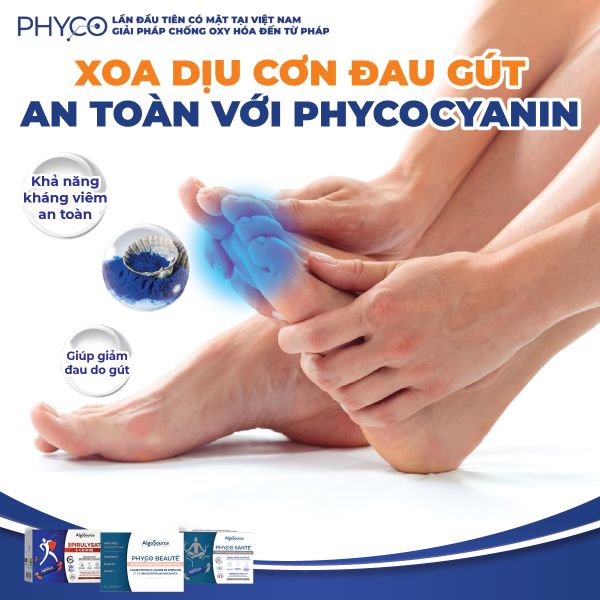 XOA DỊU CƠN ĐAU GÚT AN TOÀN VỚI PHYCOCYANIN