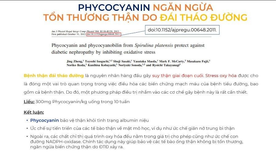 Nghiên cứu Phycocyanin ngăn ngừa biến chứng thận do Đái Tháo Đường