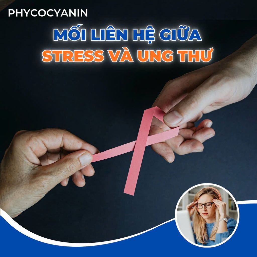 MỐI LIÊN HỆ GIỮA STRESS VÀ UNG THƯ