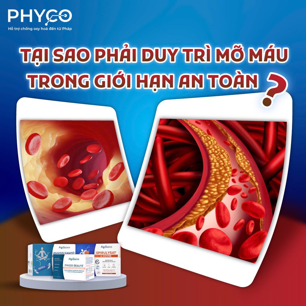 🔥 TẠI SAO PHẢI DUY TRÌ MỠ MÁU TRONG GIỚI HẠN AN TOÀN? 🔥