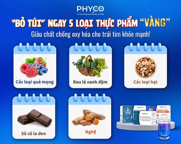"BỎ TÚI" NGAY 5 LOẠI THỰC PHẨM "VÀNG" GIÀU CHẤT CHỐNG OXY HÓA CHO TRÁI TIM KHỎE MẠNH! ❤️