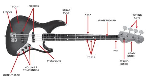 Tìm Hiểu Về Đàn Guitar Bass