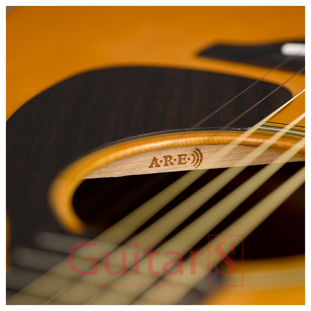 Đàn Guitar Yamaha FG5 Red Label Acoustic