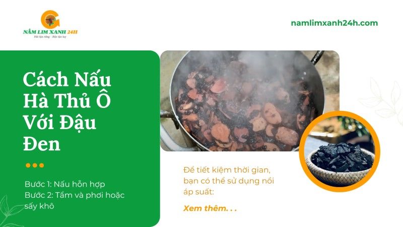 Cách nấu Hà Thủ Ô với Đậu Đen tại nhà đúng chuẩn, hiệu quả cao