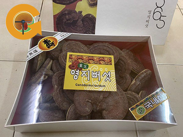 Nấm linh chi vàng 365 Hàn Quốc thượng hạng hộp 1kg.