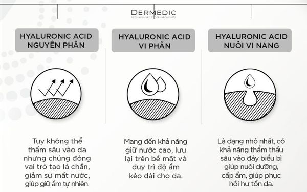 Phân loại Hyaluronic Acid được sử dụng trong các dòng mỹ phẩm