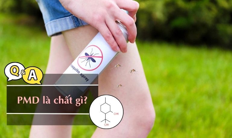 PMD LÀ GÌ TRONG SẢN PHẨM CHỐNG MUỖI? NÊN DÙNG DEET HAY PMD?