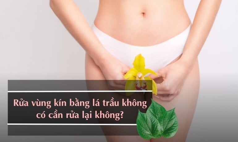 RỬA VÙNG KÍN BẰNG LÁ TRẦU KHÔNG CÓ CẦN RỬA LẠI KHÔNG? CÁCH LÀM ĐÚNG