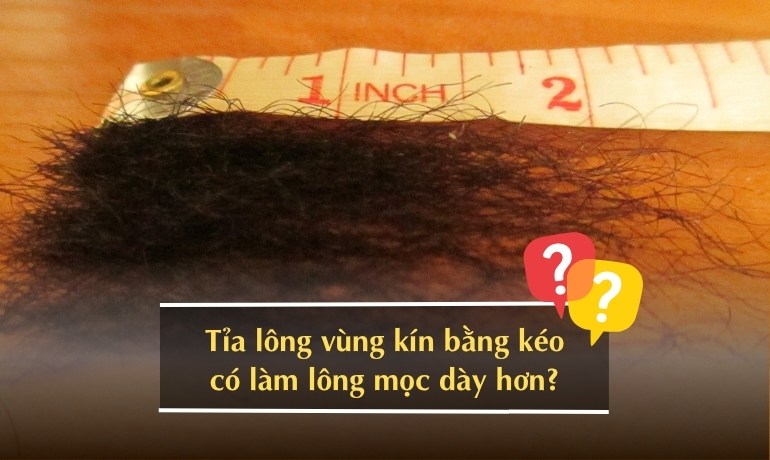 Tỉa lông vùng kín nữ bằng kéo có sao không? Cách làm tại nhà