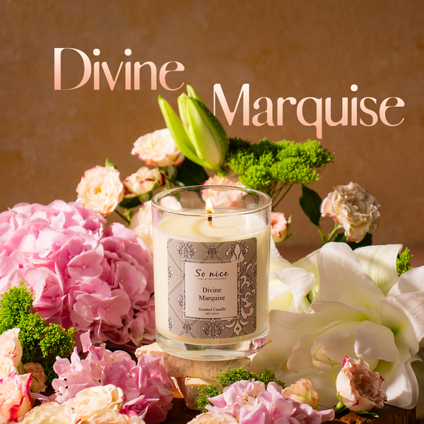 Hương tháng 8 So nice