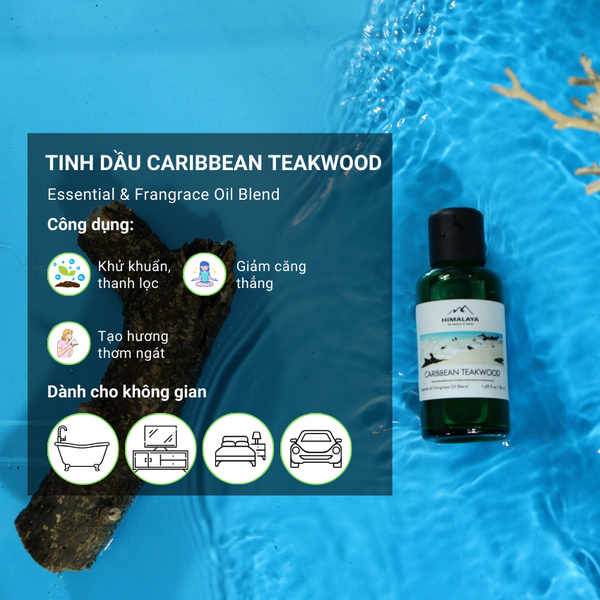 Tinh dầu caribbean Teakwood