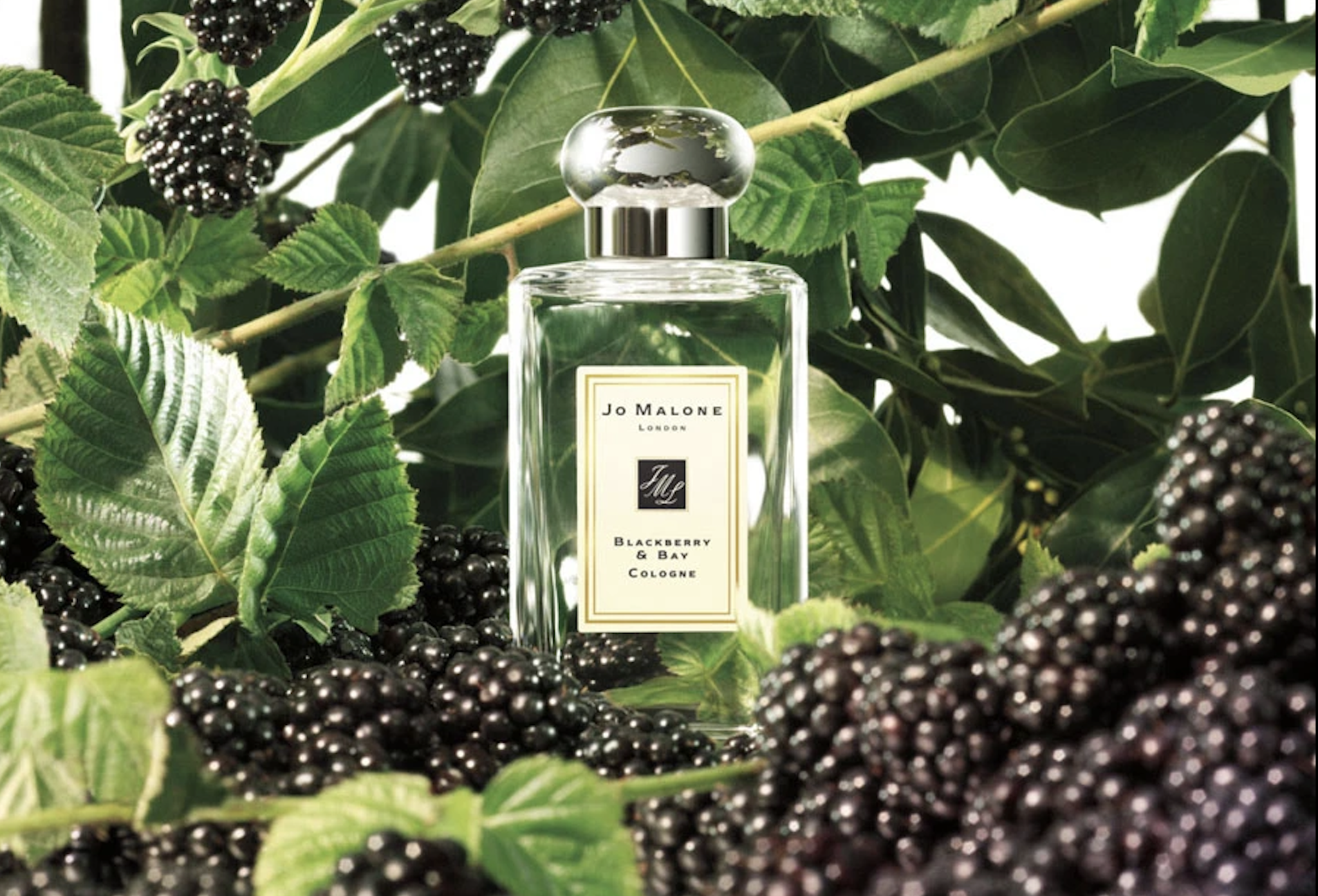 5 chai nước hoa Jo Malone bạn nên thử ngay trong mùa thu này Hinh anh 4: 5 chai nuoc hoa Jo Malone ban nen thu ngay trong mua thu nay