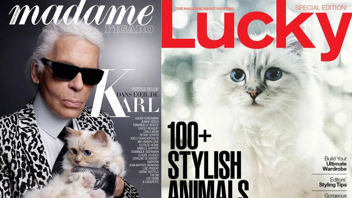 "Hoàng thượng mèo" của Chanel có gì mà có thể sở hữu khối tài sản triệu đô? Hinh anh 3: "Hoang thuong meo" cua Chanel co gi ma co the so huu khoi tai san trieu do?