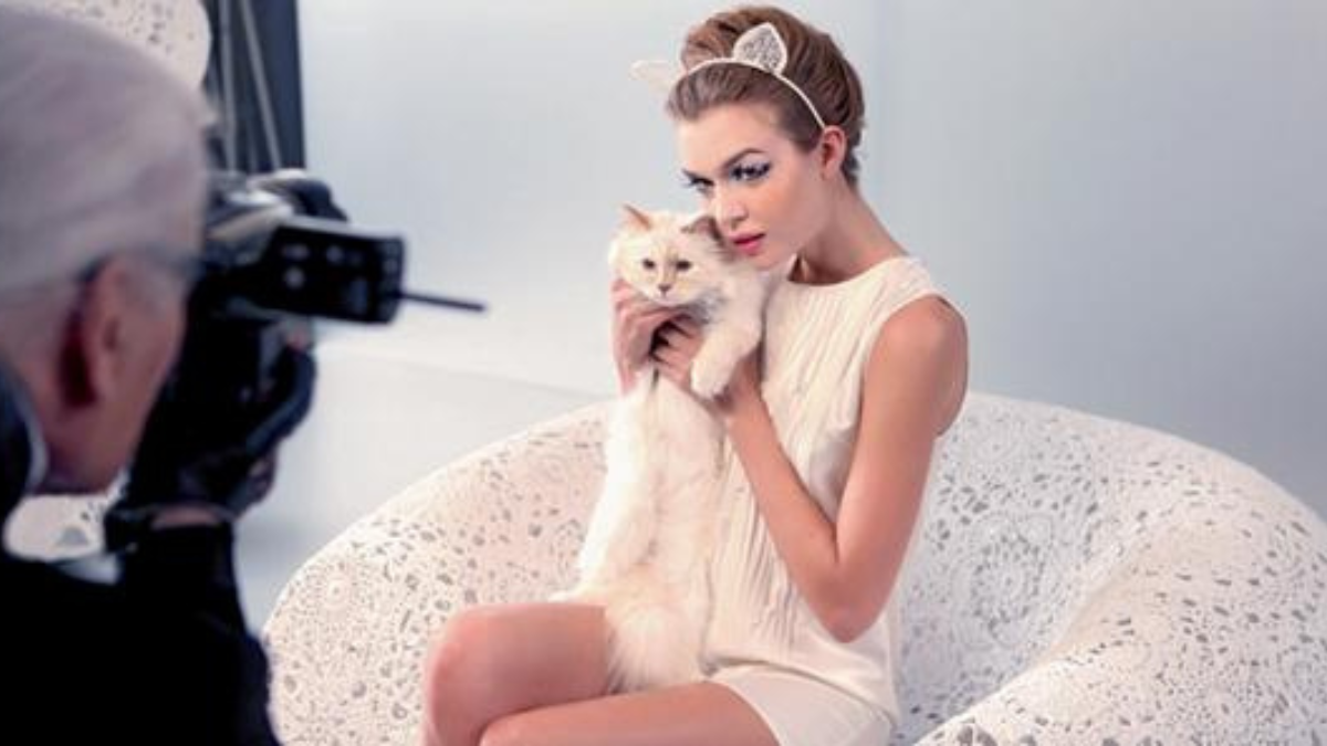 "Hoàng thượng mèo" của Chanel có gì mà có thể sở hữu khối tài sản triệu đô? Hinh anh 4: "Hoang thuong meo" cua Chanel co gi ma co the so huu khoi tai san trieu do?