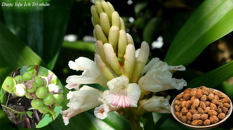 Bạn có đang bị mất ngủ, thức giấc do bệnh lý, tiểu đêm, tiểu nhiều? Đừng lo hãy đọc kỹ bài viết này nhé !!