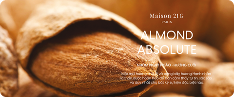 Almond Absolute | Hạnh nhân