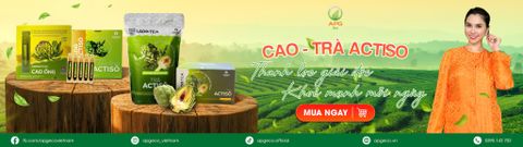 Trà, Cao Actiso - Tinh hoa dược liệu APG ECO