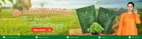 Bột rau má nguyên chất