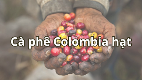 Cà phê Colombia hạt - Hương vị đầy mê hoặc của vùng Nam Mỹ