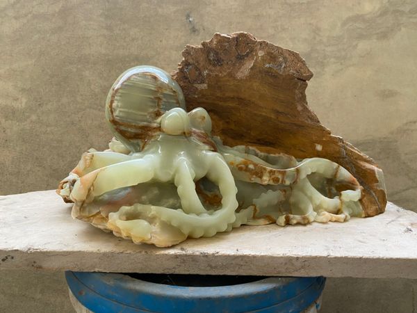 Con bạch tuột - đá ngọc Onyx - đang ẩn mình trong đá