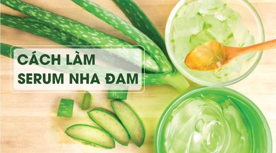 Cách làm serum nha đam dưỡng da đơn giản ngay tại nhà!