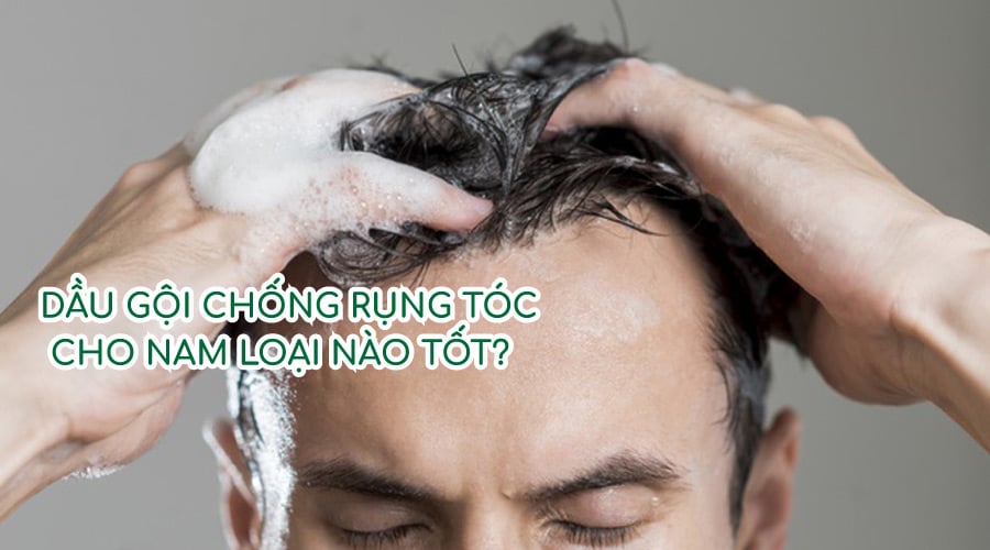 Vì sao bạn rụng tóc nhiều hơn người khác VnExpress Sức khỏe