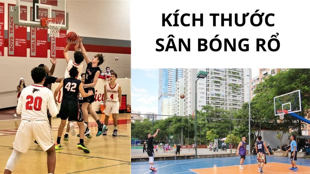 Kích thước sân bóng rổ chuẩn mới nhất năm 2024