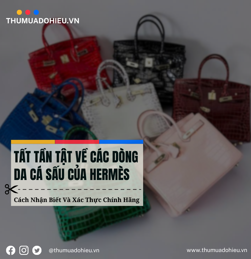 TẤT TẦN TẬT VỀ CÁC DÒNG DA CÁ SẤU CỦA HERMES
