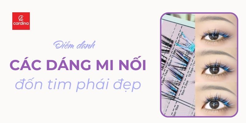TOP Các Dáng Mi Nối Đốn Tim Phái Đẹp: Chọn Kiểu Nào Cho Nàng Thêm Xinh?