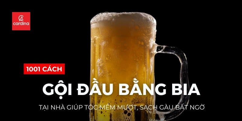 1001 Cách Gội Đầu Bằng Bia Tại Nhà Giúp Tóc Mềm Mượt, Sạch Gàu Bất Ngờ