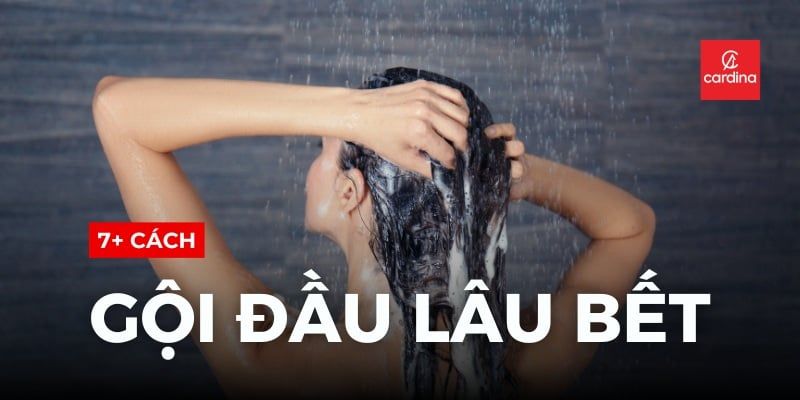Tóc Mới Gội Đã Bết? Bỏ Túi Ngay 7+ Cách Gội Đầu Lâu Bết Thần Thánh, Giữ Tóc Tơi Phồng Cả Tuần