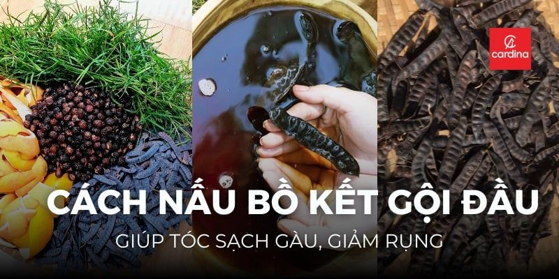 Cách Nấu Bồ Kết Gội Đầu Đúng Cách Giúp Tóc Sạch Gàu, Giảm Rụng