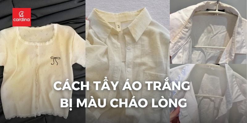 Cách Tẩy Áo Trắng Bị Màu Cháo Lòng Siêu Dễ, Ai Cũng Làm Được