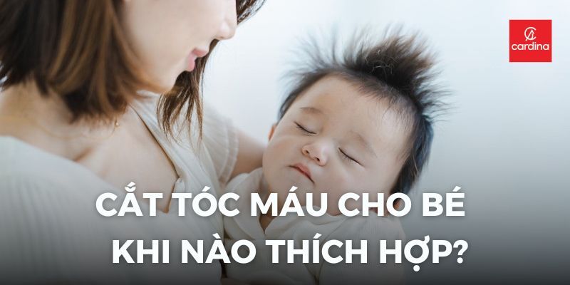Cắt Tóc Máu Cho Bé Gái: Khi Nào Thích Hợp Và Những Điều Ba Mẹ Cần Lưu Ý Tuyệt Đối