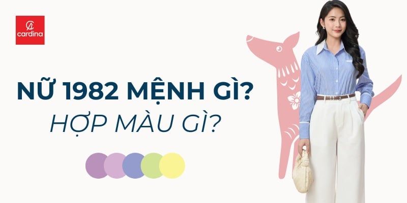 Nữ 1982 Mệnh Gì Hợp Màu Gì? Bí Kíp Chọn Đồ