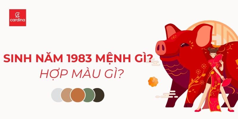 Sinh Năm 1983 Mệnh Gì Hợp Màu Gì? Bí Kíp Chọn Đồ Cho Quý Hợi