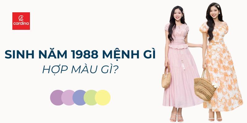 Sinh Năm 1988 Mệnh Gì Hợp Màu Gì? Bí Kíp Chọn Đồ Cho Mậu Thìn Thêm May Mắn, Thành Công