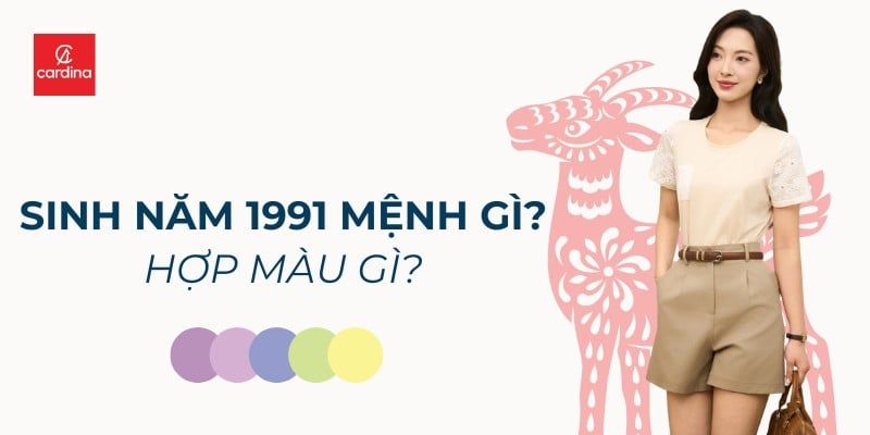 Sinh Năm 1991 Mệnh Gì? Hợp Màu Gì? Bí Kíp Chọn Màu Hút Trọn Vận May Cho Tân Mùi
