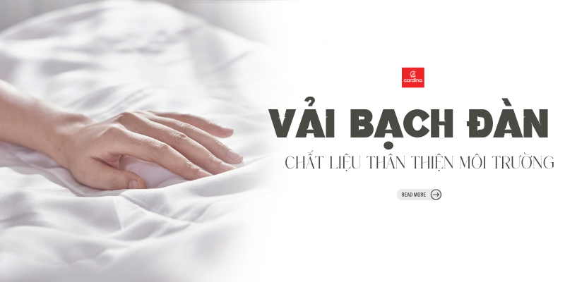 Vải Bạch Đàn Là Gì? Khám Phá Ưu Việt Của Chất Liệu Thân Thiện Môi Trường