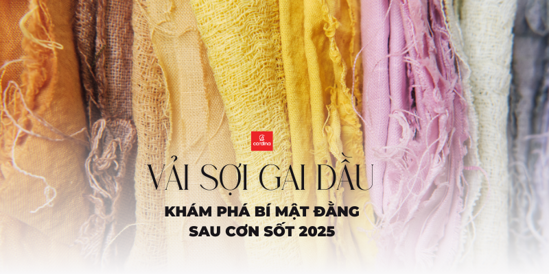 Vải sợi gai dầu hồi sinh: Khám phá bí mật đằng sau cơn sốt 2025