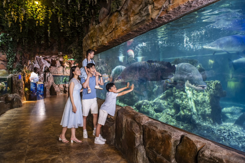 2 9 đi chơi đâu ở hà nội