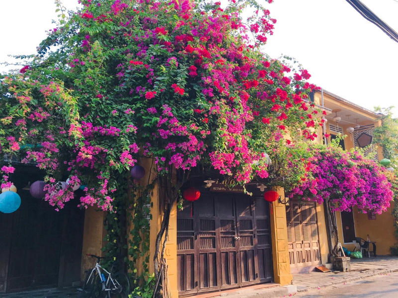 Top các địa điểm chụp ảnh sống ảo ở Hội An