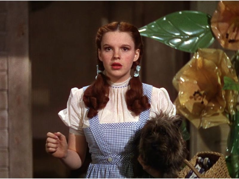 họa tiết Gingham trong “The Wizard of Oz”