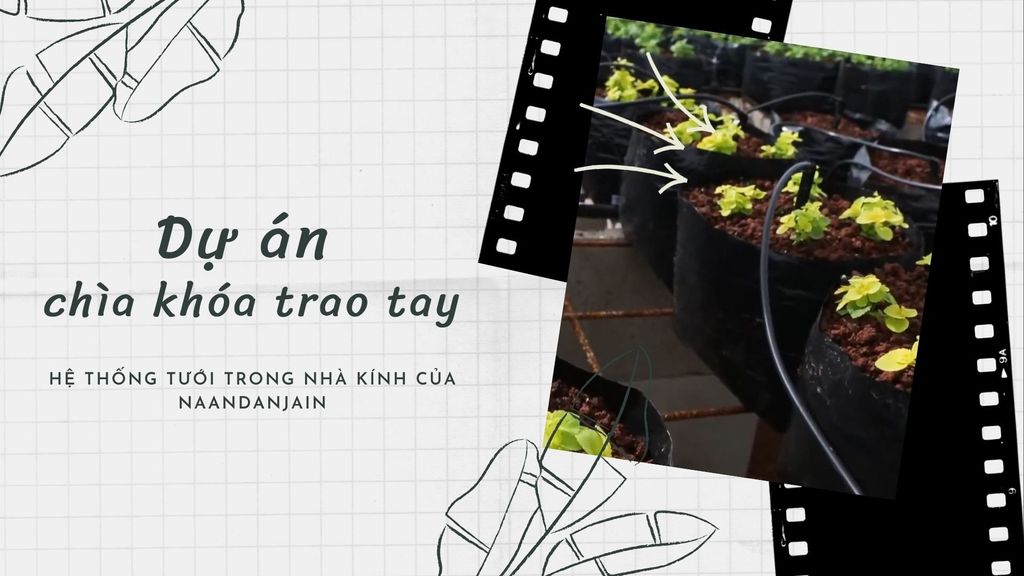 Dự án chìa khóa trao tay | Hệ thống tưới cho nhà kính NaanDanJain