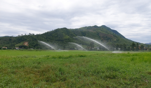 Hệ thống tưới phun mưa tầm cao cho 4.6ha cỏ - Nha Trang