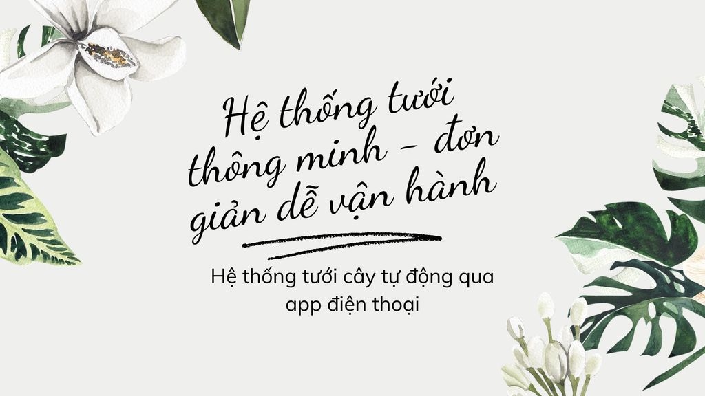 Hệ thống tưới thông minh đơn giản dễ vận hành 15ha sầu riêng - Bình Phước