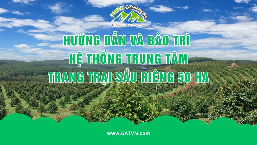 Hướng dẫn và bảo trì hệ thống trung tâm trang trại 50 ha sầu riêng - Bình Phước