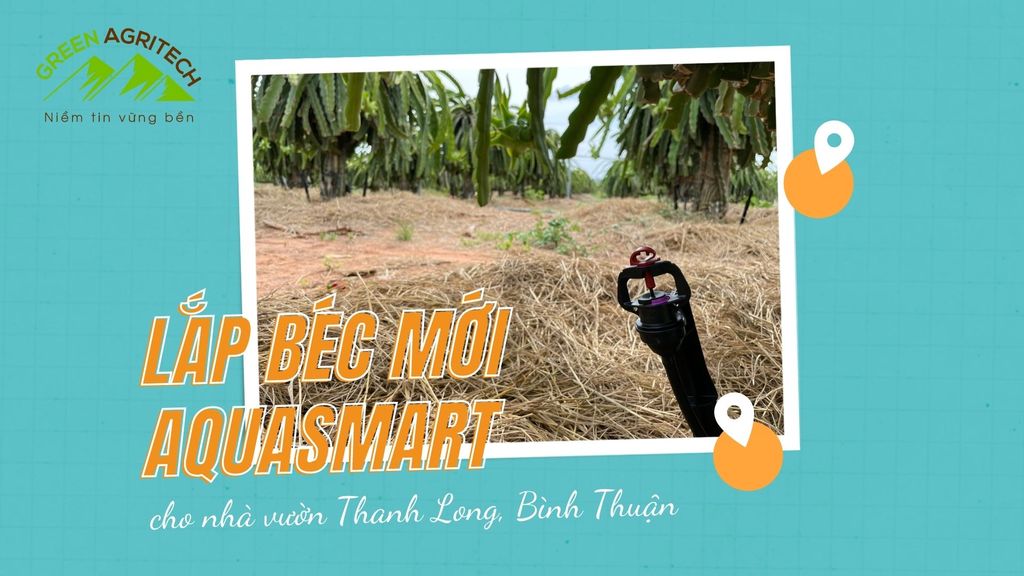 Hệ thống tưới phun mưa bù áp Aquasmart cho vườn 1.000 trụ Thanh Long - Bình Thuận