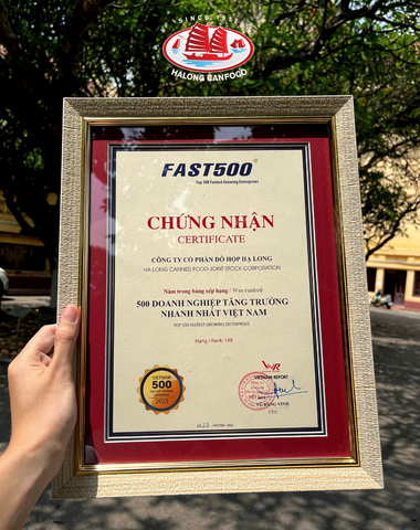 Chứng nhận Top 500 Doanh nghiệp Tăng trưởng nhanh nhất Việt Nam 2023