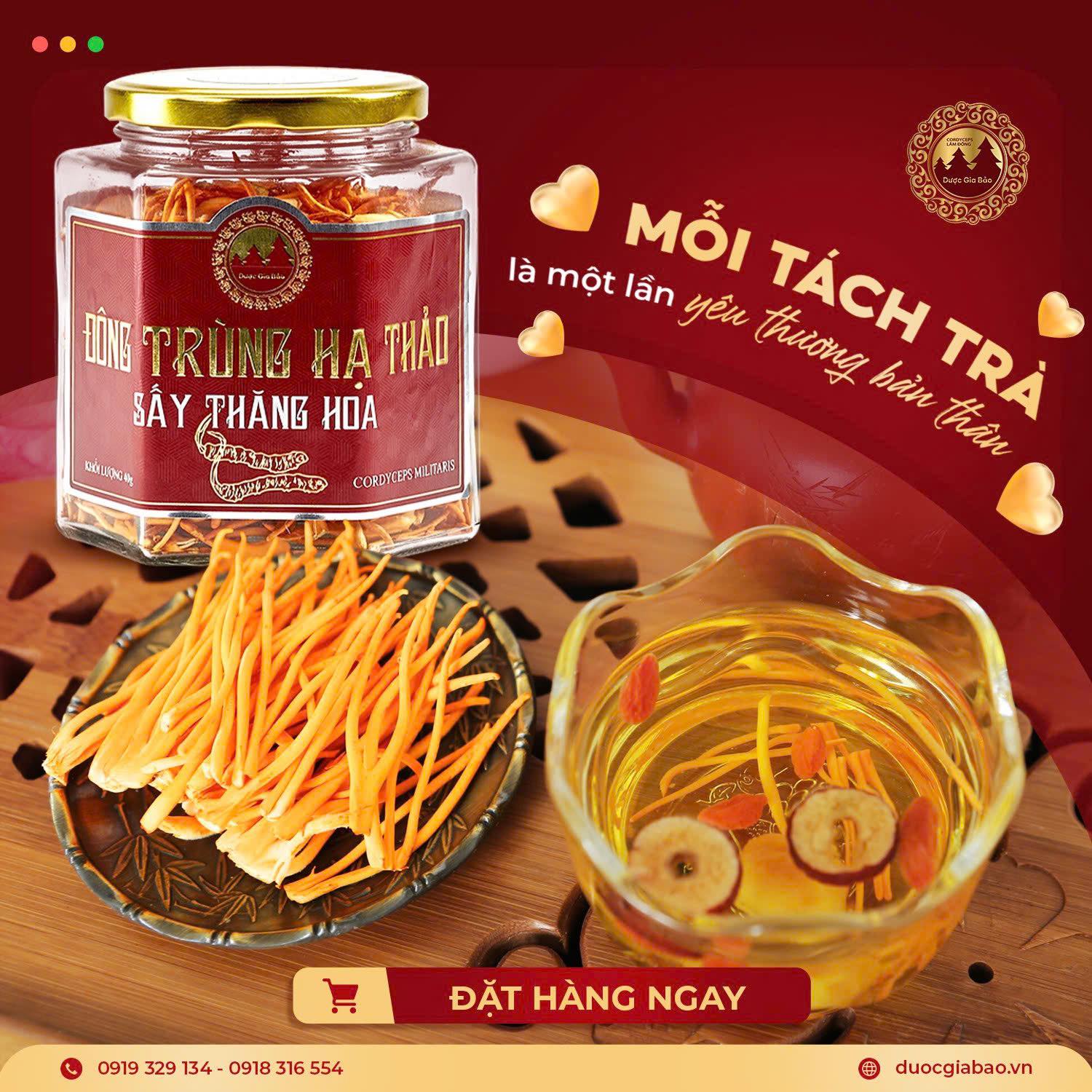 dong trung ha thao duoc san lung